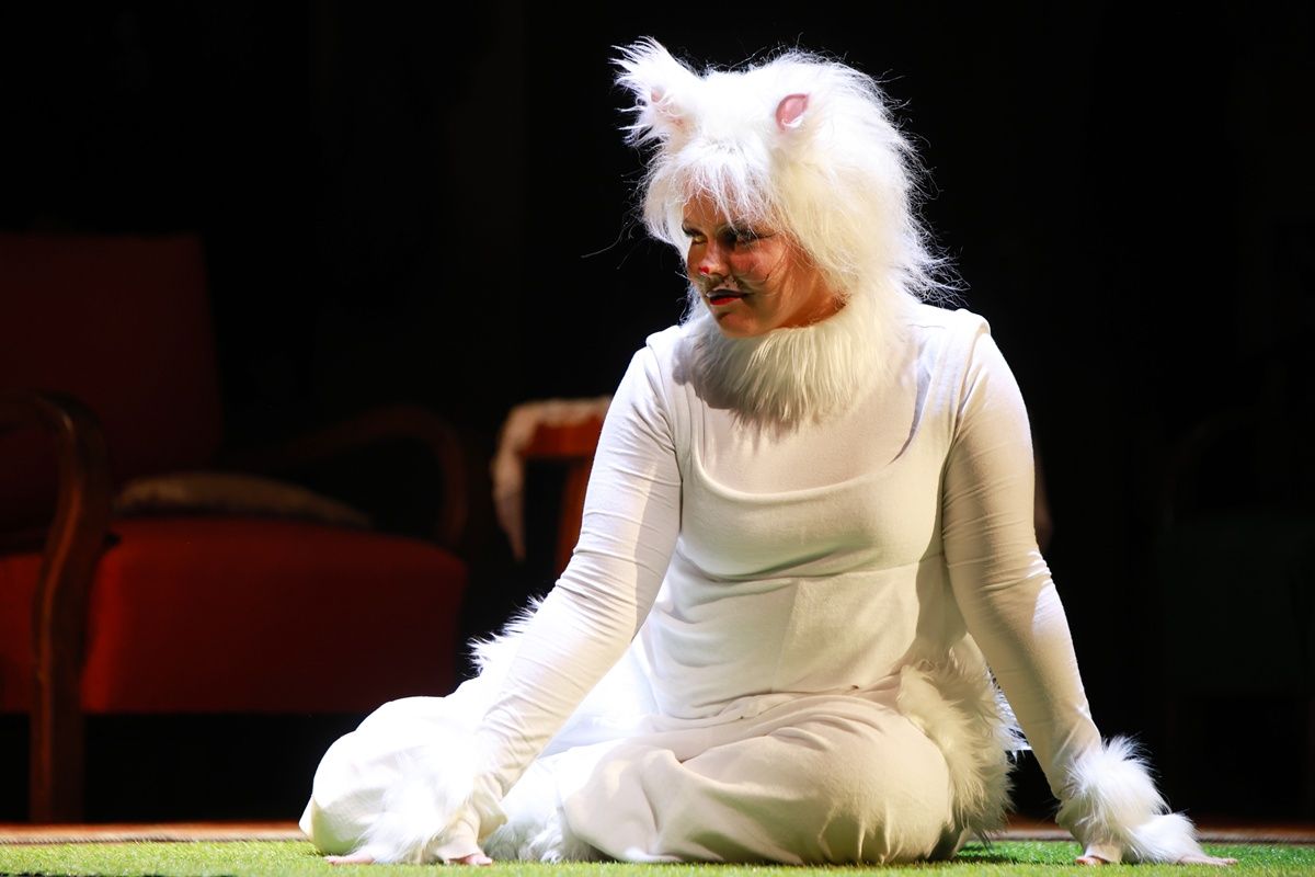 Frakk, a macskák réme