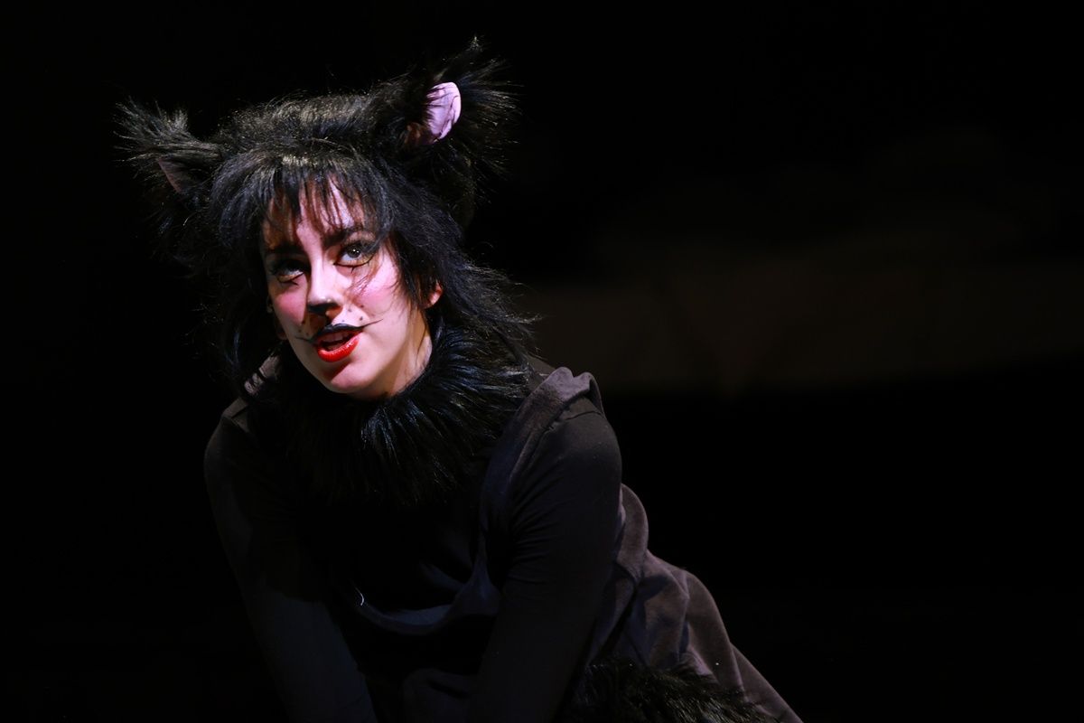 Frakk, a macskák réme