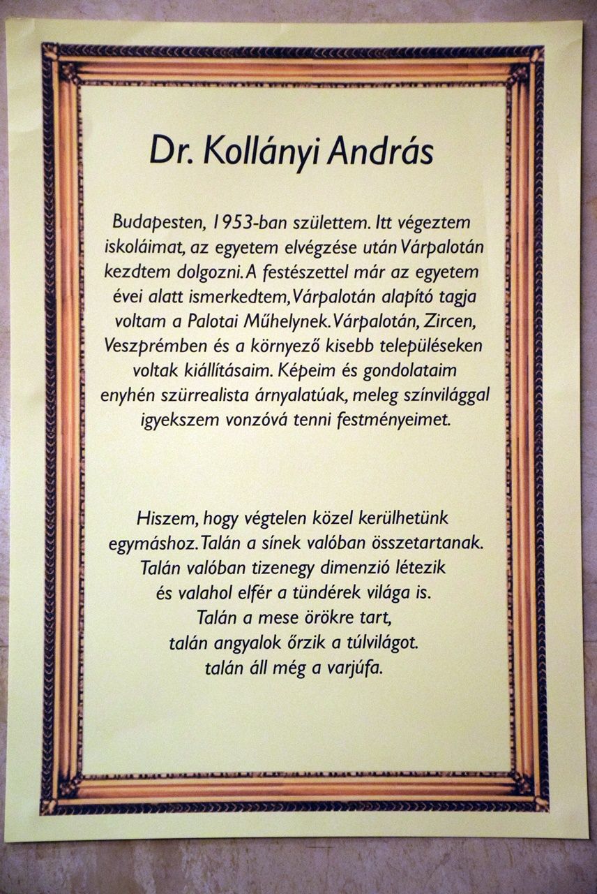 Dr. Kollányi András kiállítása - megnyitó