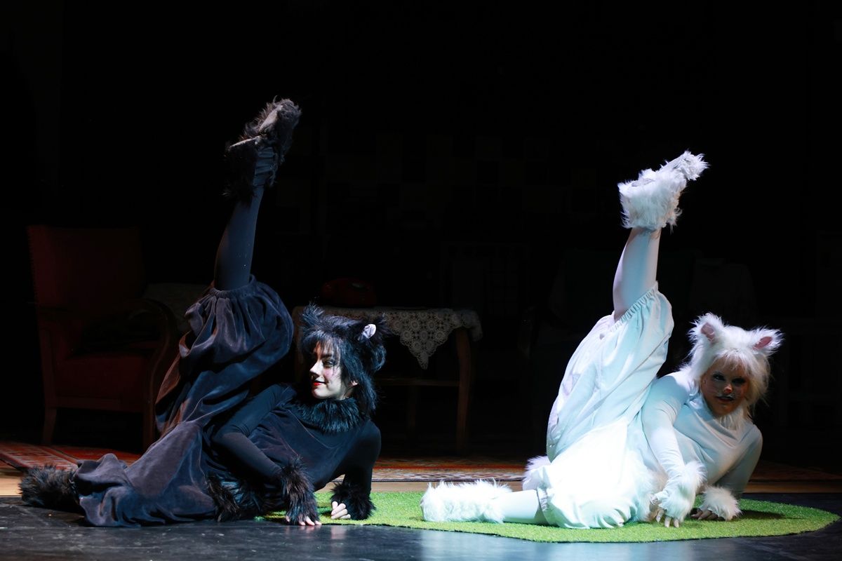 Frakk, a macskák réme