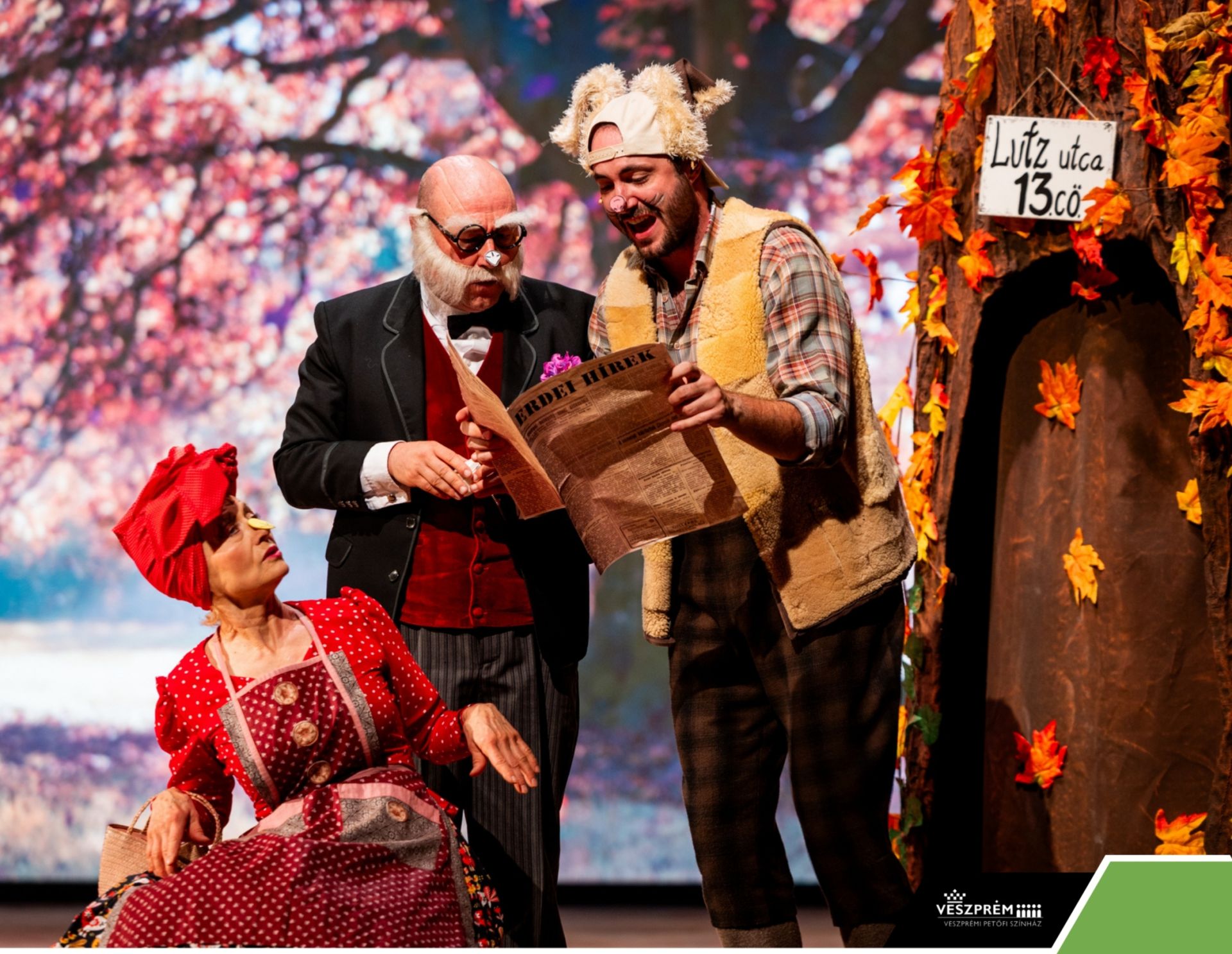 Kérem a következőt! - Dr. Bubó