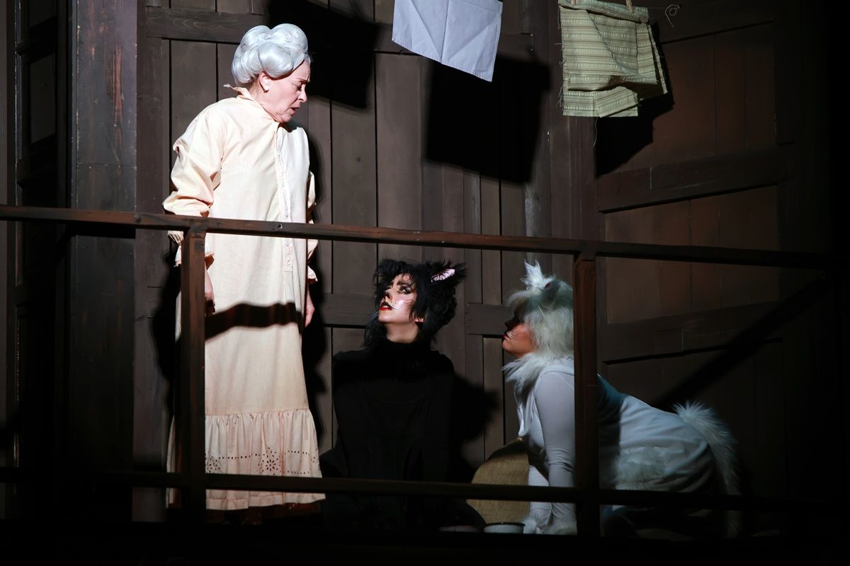 Frakk, a macskák réme