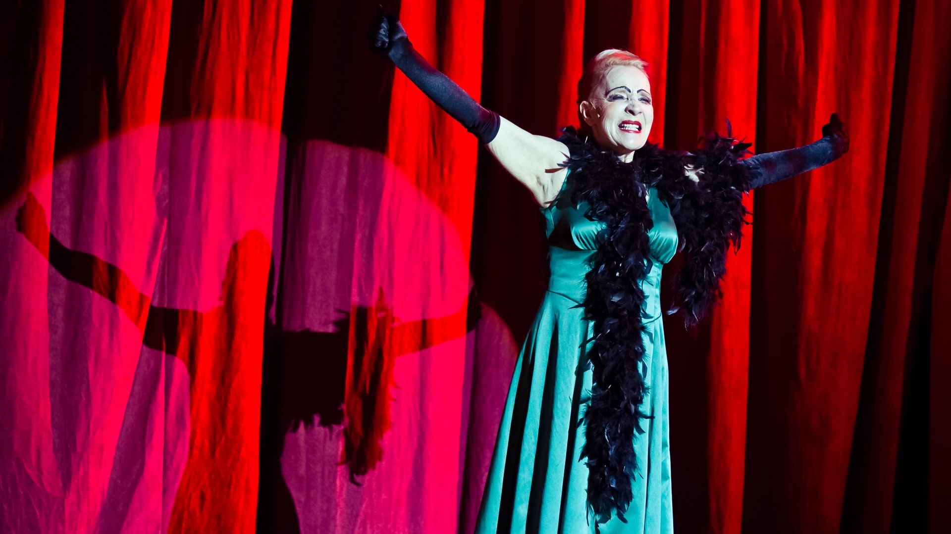 A Montmartre-i ibolya