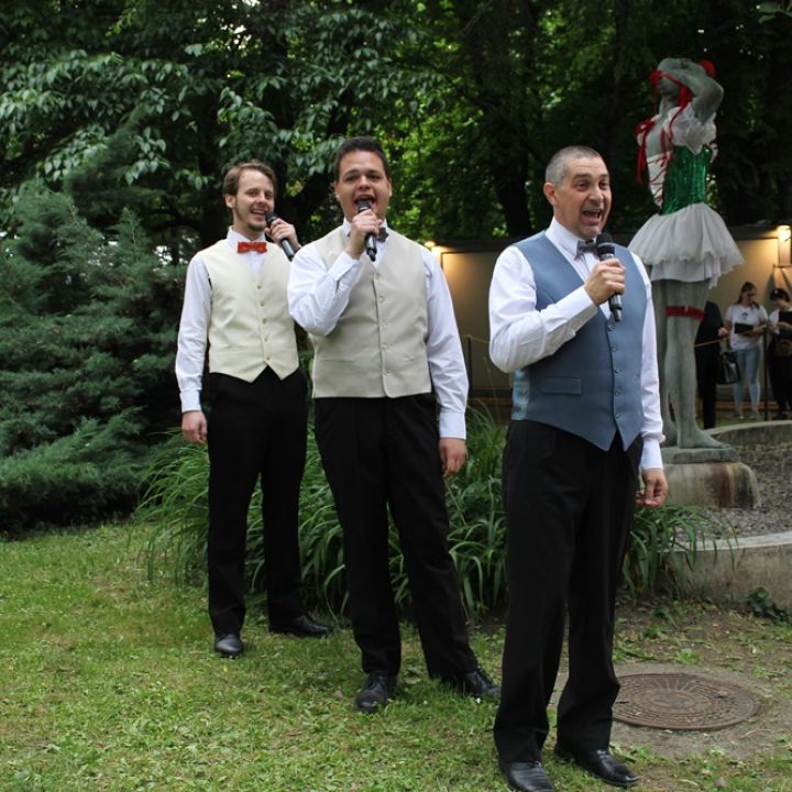 IV. Veszprémi Rátonyi Róbert Operettfesztivál II. nap