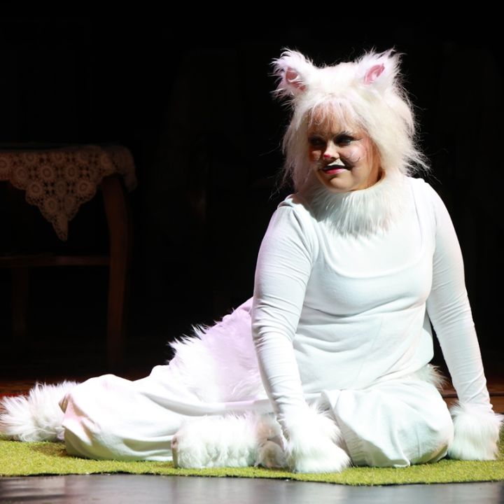 Frakk, a macskák réme