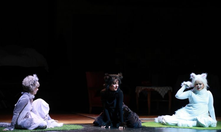 FRAKK, A MACSKÁK RÉME