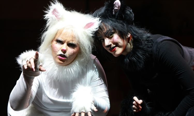 FRAKK, A MACSKÁK RÉME