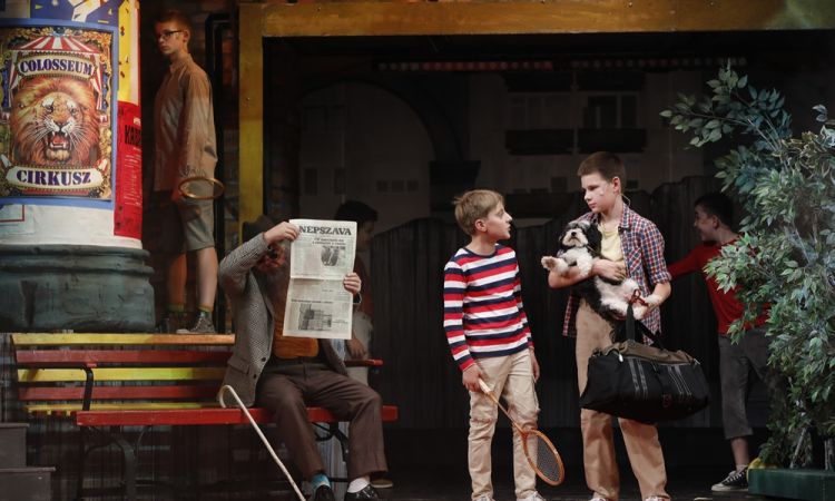 KEMÉNYKALAP ÉS KRUMPLIORR