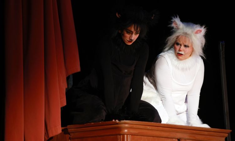 FRAKK, A MACSKÁK RÉME