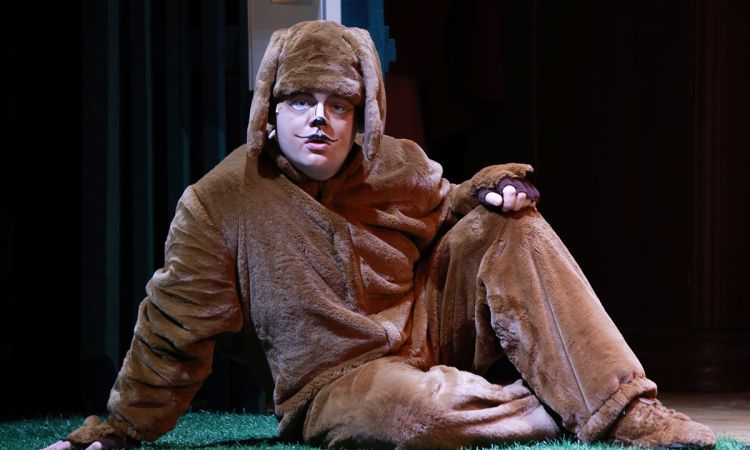 FRAKK, A MACSKÁK RÉME