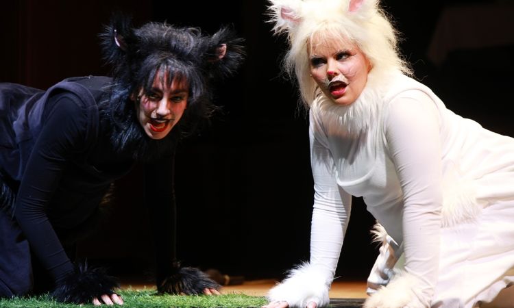 FRAKK, A MACSKÁK RÉME