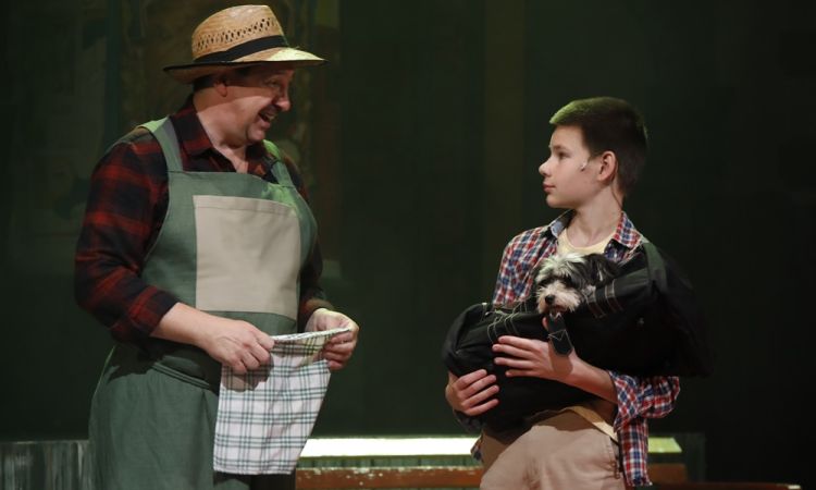 KEMÉNYKALAP ÉS KRUMPLIORR