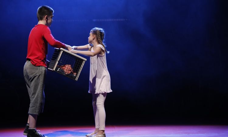 KEMÉNYKALAP ÉS KRUMPLIORR