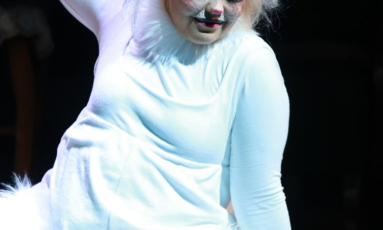 FRAKK, A MACSKÁK RÉME