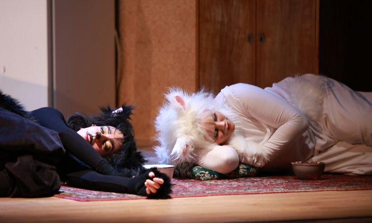 FRAKK, A MACSKÁK RÉME