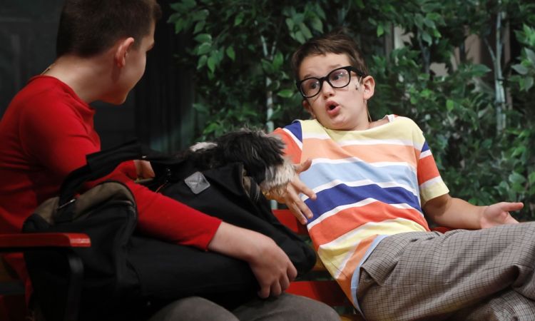 KEMÉNYKALAP ÉS KRUMPLIORR