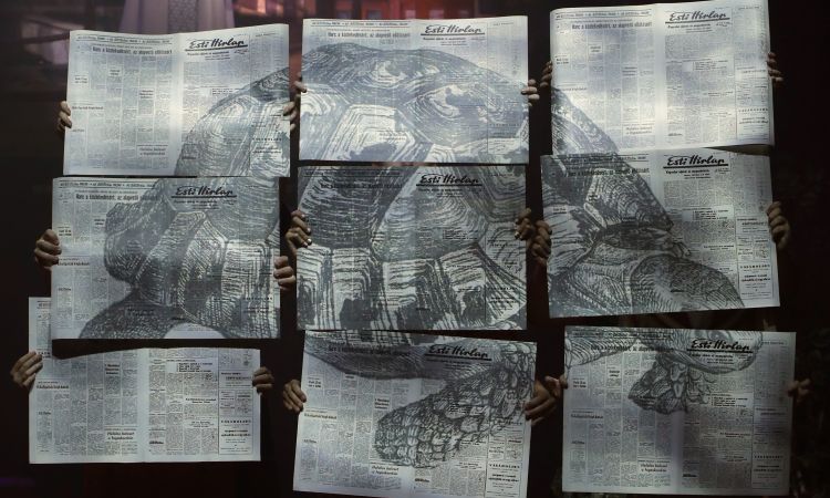 KEMÉNYKALAP ÉS KRUMPLIORR