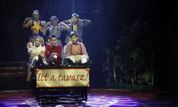 KEMÉNYKALAP ÉS KRUMPLIORR