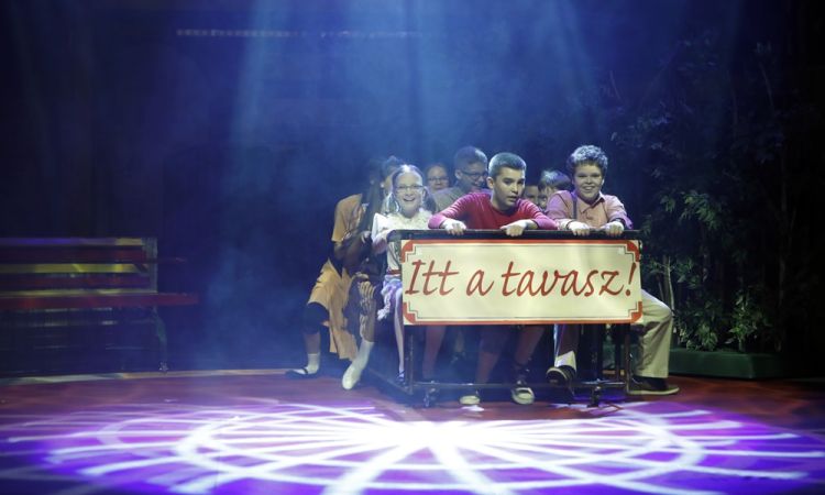 KEMÉNYKALAP ÉS KRUMPLIORR