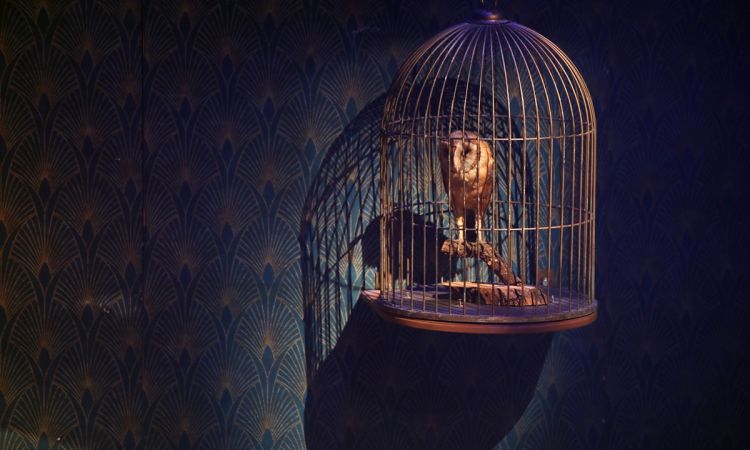 „...LÁZAS IFJÚSÁG…”