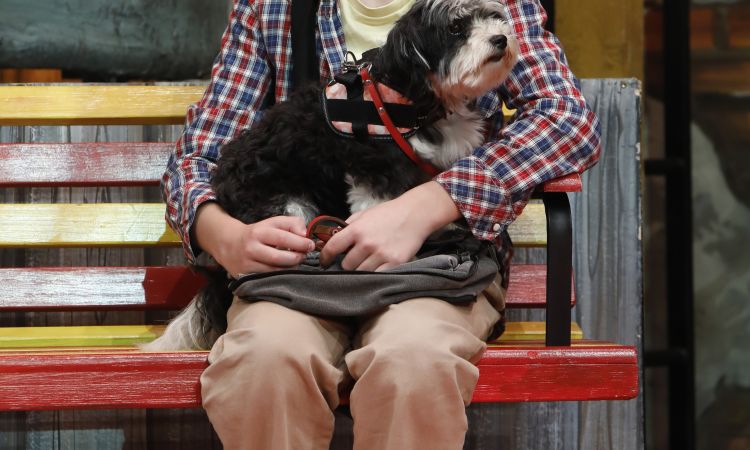 KEMÉNYKALAP ÉS KRUMPLIORR