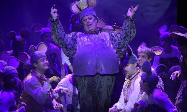 Diótörő és Egérkirály