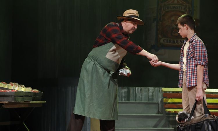 KEMÉNYKALAP ÉS KRUMPLIORR