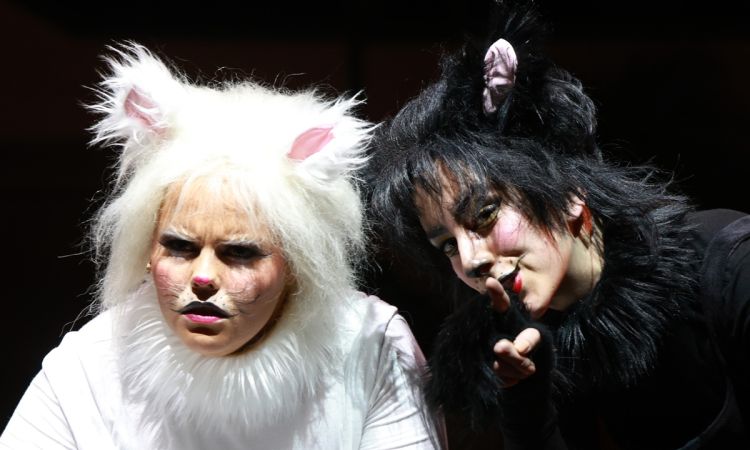 FRAKK, A MACSKÁK RÉME