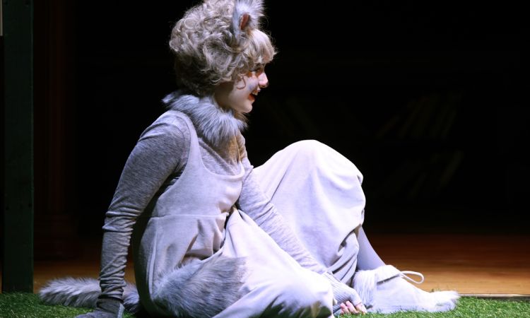 FRAKK, A MACSKÁK RÉME