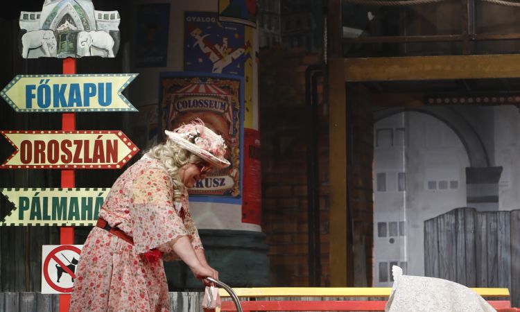 KEMÉNYKALAP ÉS KRUMPLIORR