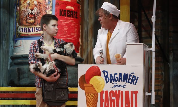 KEMÉNYKALAP ÉS KRUMPLIORR