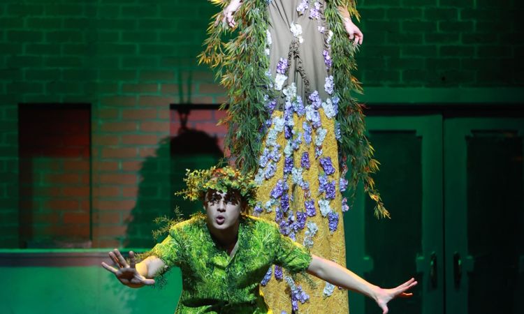 HOLT KÖLTŐK TÁRSASÁGA