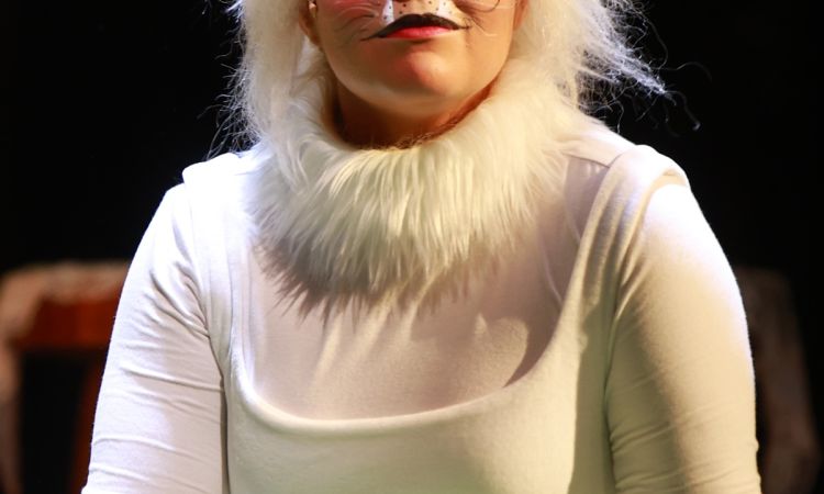 FRAKK, A MACSKÁK RÉME