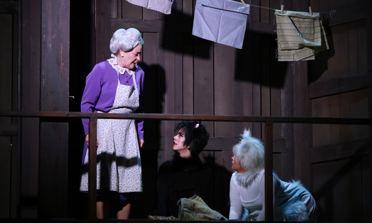 FRAKK, A MACSKÁK RÉME