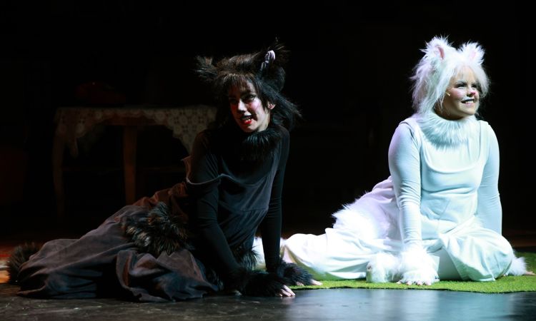 FRAKK, A MACSKÁK RÉME