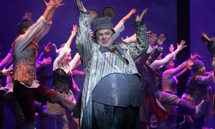 Diótörő és Egérkirály