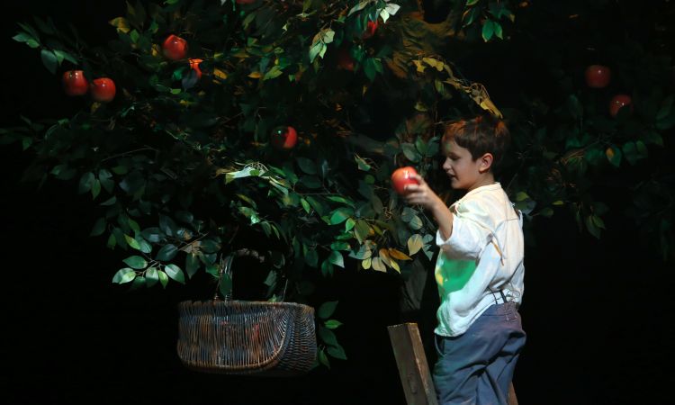 Kincskereső kisködmön