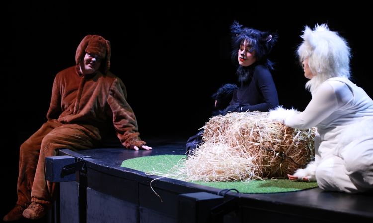 FRAKK, A MACSKÁK RÉME