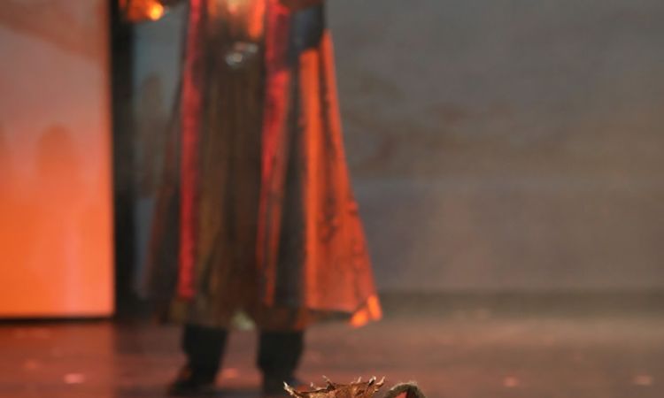 Diótörő és Egérkirály