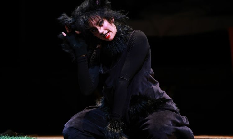 FRAKK, A MACSKÁK RÉME