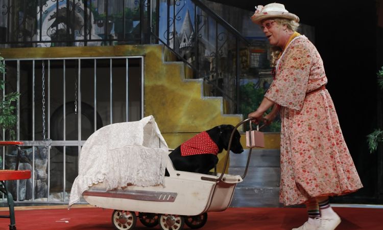 KEMÉNYKALAP ÉS KRUMPLIORR