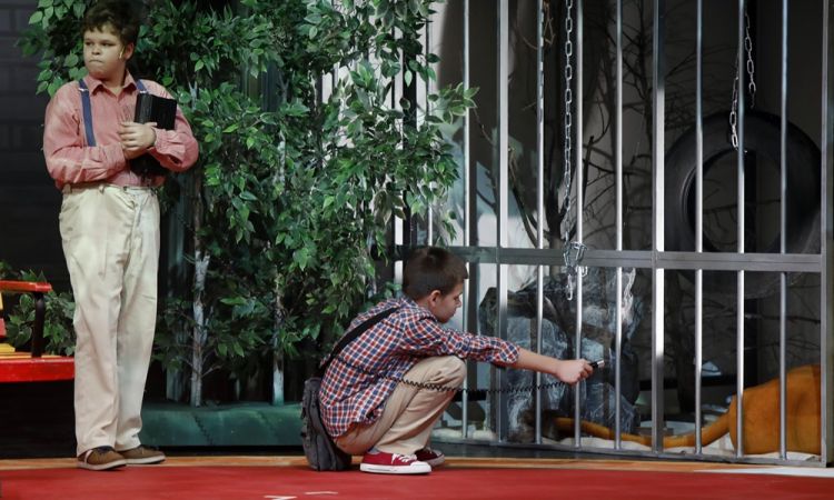 KEMÉNYKALAP ÉS KRUMPLIORR