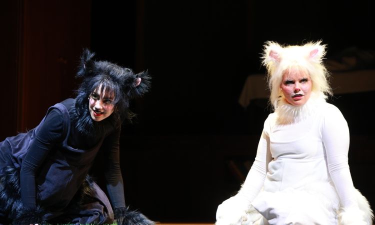 FRAKK, A MACSKÁK RÉME