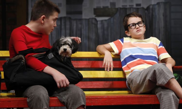 KEMÉNYKALAP ÉS KRUMPLIORR