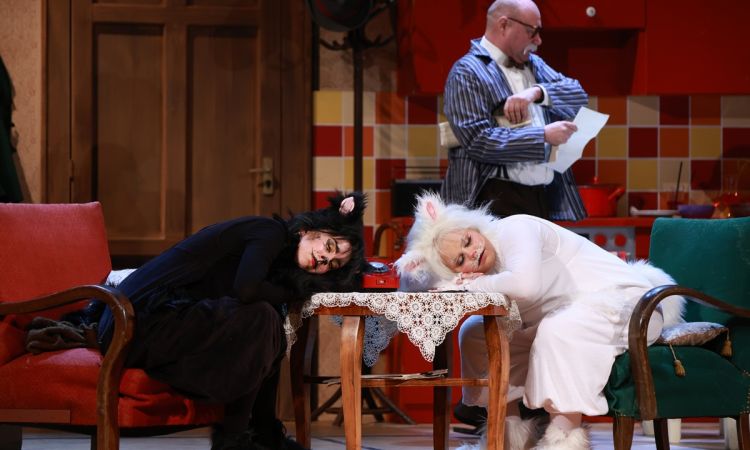 FRAKK, A MACSKÁK RÉME