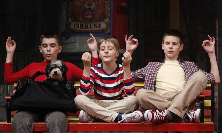 KEMÉNYKALAP ÉS KRUMPLIORR