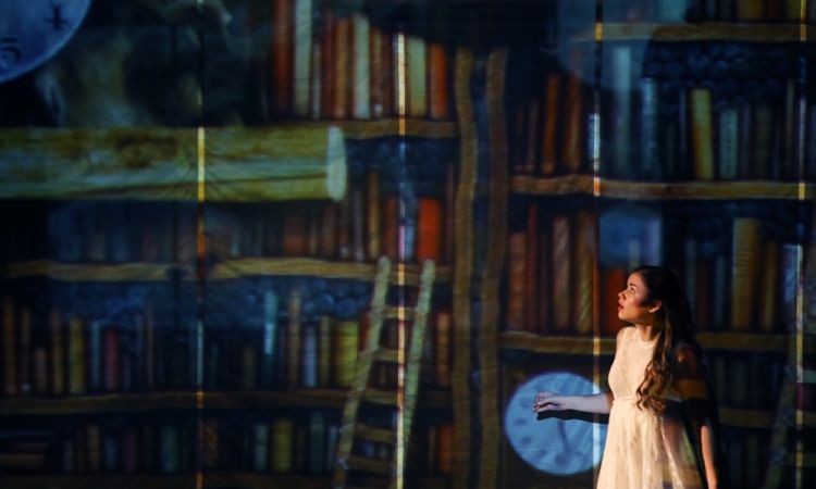 Diótörő és Egérkirály