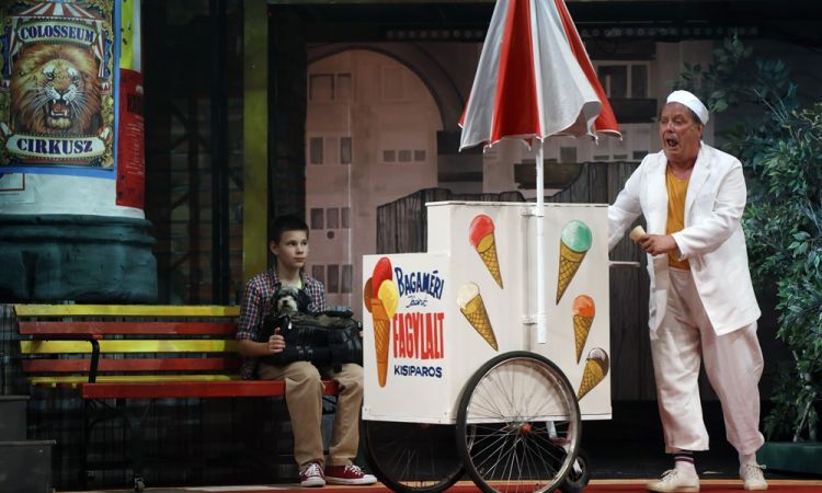 KEMÉNYKALAP ÉS KRUMPLIORR