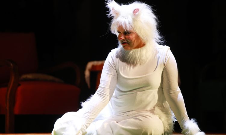 FRAKK, A MACSKÁK RÉME