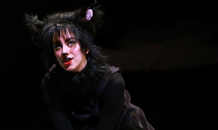 FRAKK, A MACSKÁK RÉME